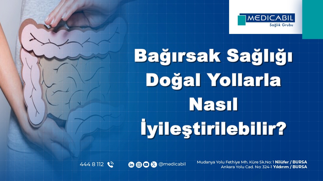 Bağırsak Sağlığı Doğal Yollarla Nasıl İyileştirilebilir?