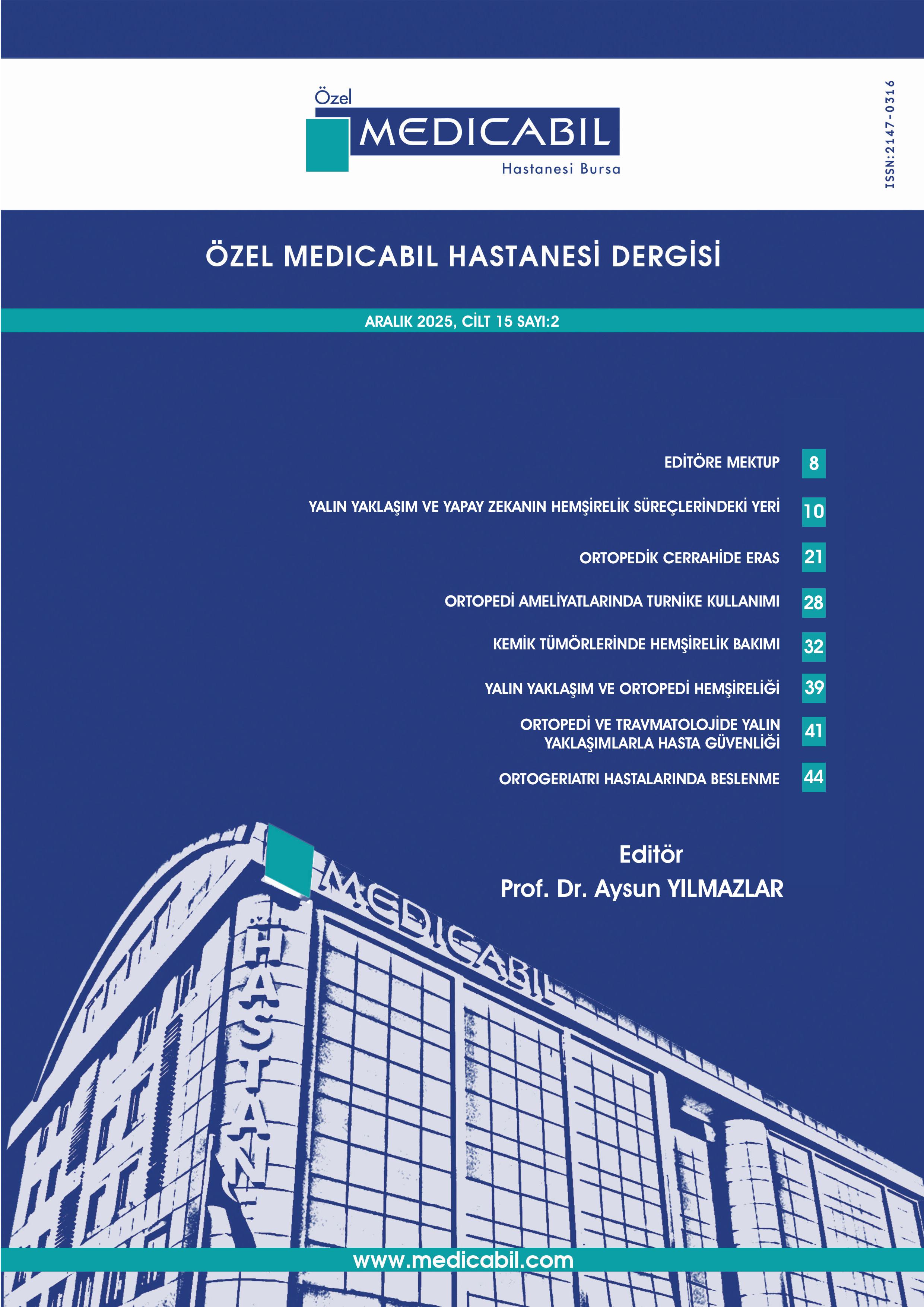 2025 Sayı - 2