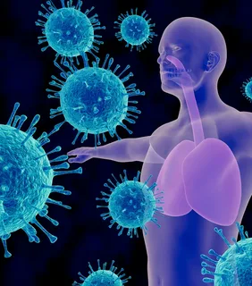Что такое иммунная система? Как она работает?
