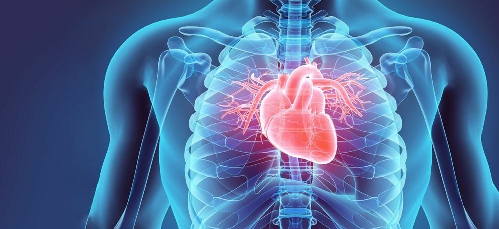 Взаимосвязь между транстиретиновой амилоидозной кардиомиопатией и синдромом запястного канала