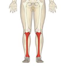 ما أسباب كسور الساق؟ ما أعراضها؟ وكيف يتم علاجها؟