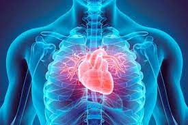 كيف يتم حساب مخاطر الإصابة بأمراض القلب؟
