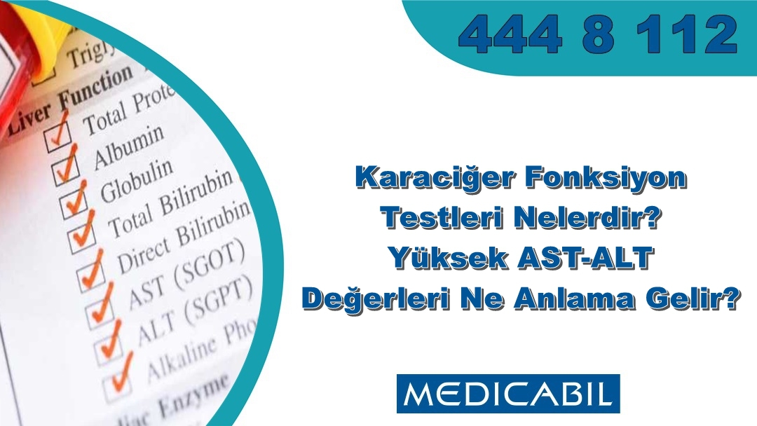 Karaciğer Fonksiyon Testleri Nelerdir? Yüksek AST-ALT Değerleri Ne Anlama Gelir?