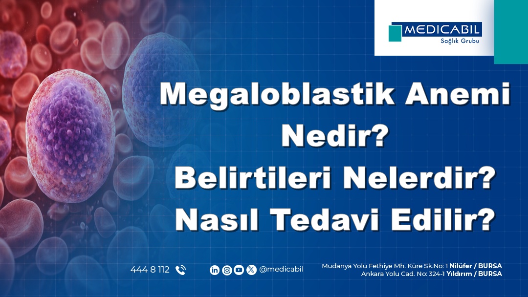 Megaloblastik Anemi Nedir? Belirtileri Nelerdir? Nasıl Tedavi Edilir?