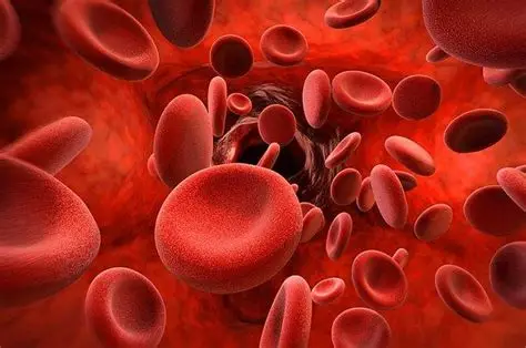 Çfarë është Hemofilia? Cilat Janë Simptomat e Saj? Si Trajtohet?