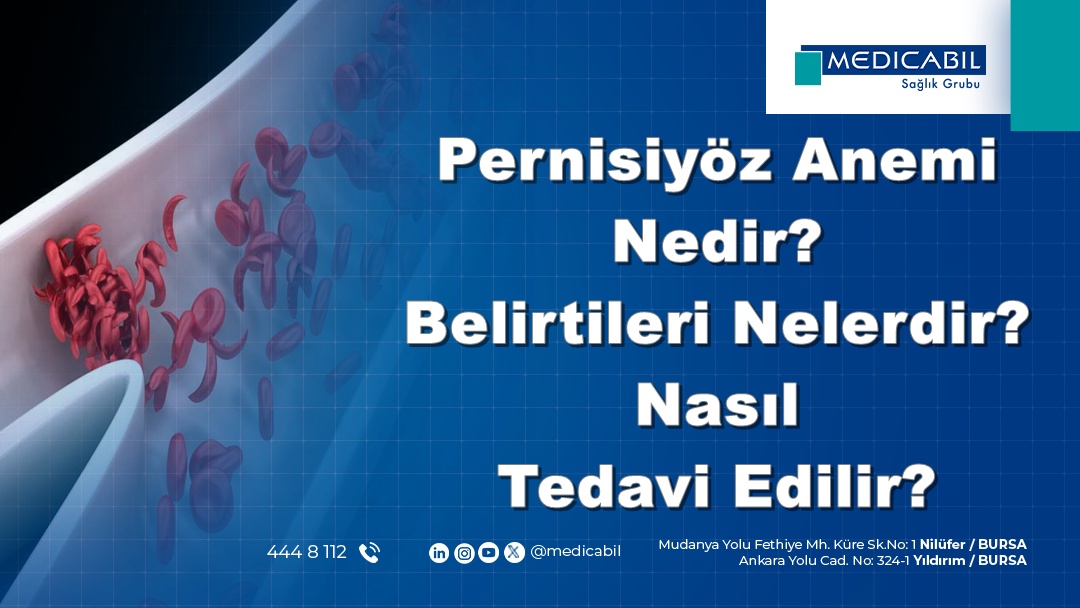 Pernisiyöz Anemi Nedir? Belirtileri Nelerdir? Nasıl Tedavi Edilir?