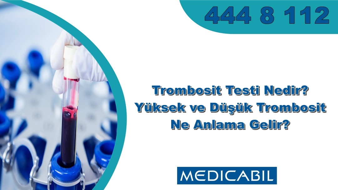 Trombosit Testi Nedir? Yüksek ve Düşük Trombosit Ne Anlama Gelir?
