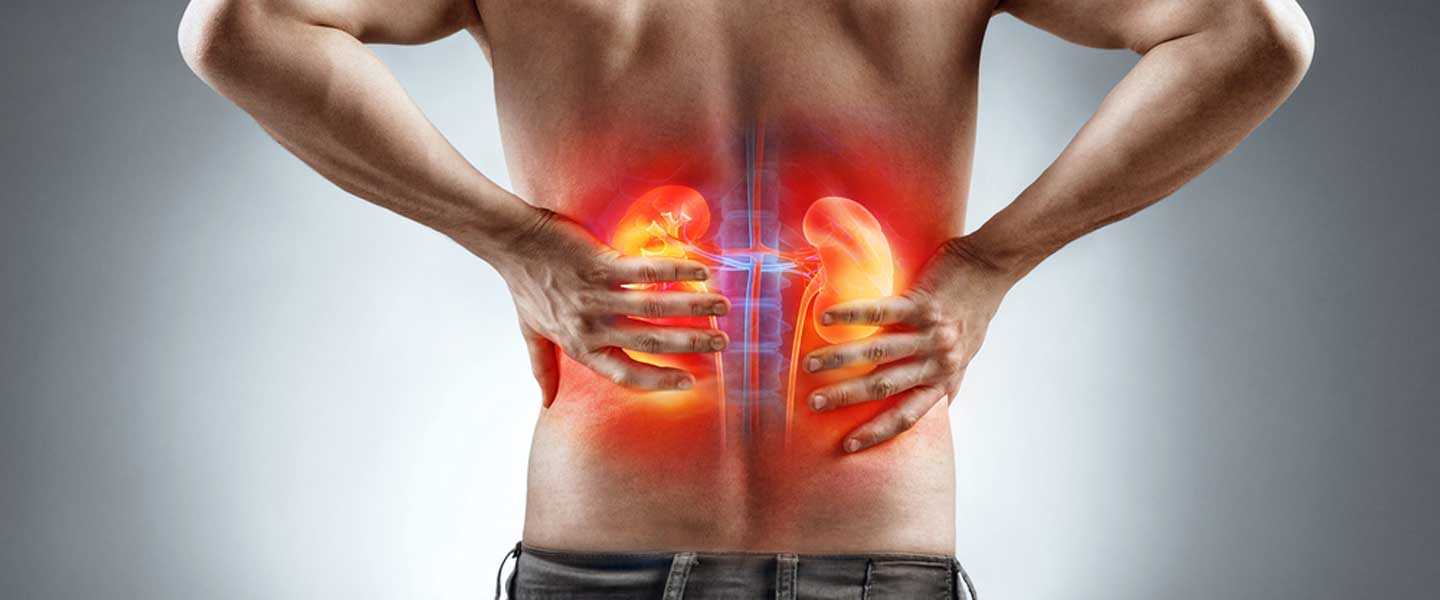 Cilat Janë Simptomat e Dhimbjeve Në Veshka?